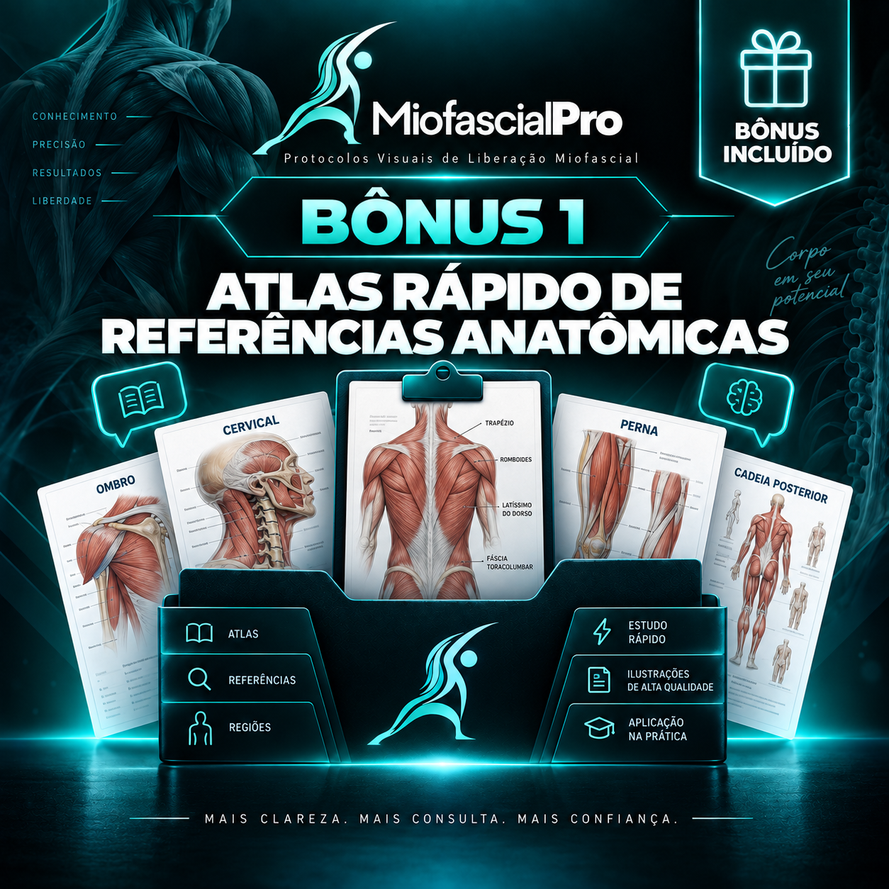Bônus 1: Atlas rápido de referências anatômicas